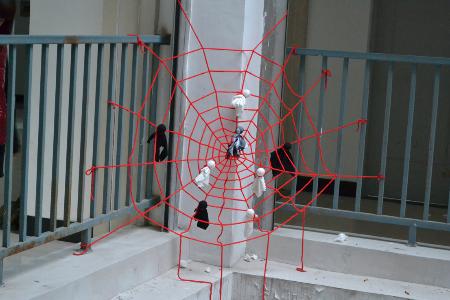 点击查看原图